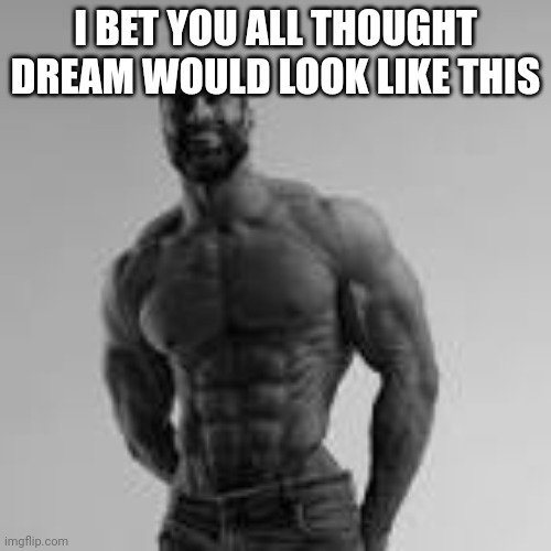 this harvest no hate and dream looks good the way he does | I BET YOU ALL THOUGHT DREAM WOULD LOOK LIKE THIS | image tagged in giga chad | made w/ Imgflip meme maker