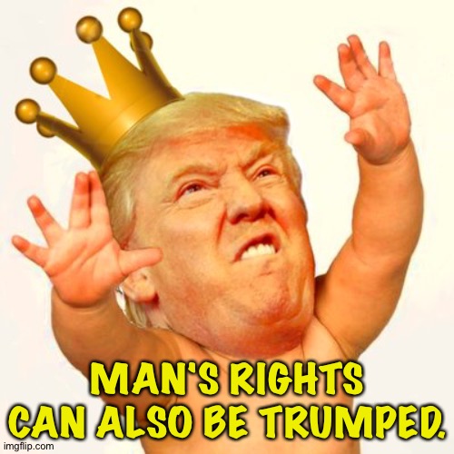 Baby trump king | MAN'S RIGHTS CAN ALSO BE TRUMPED. | image tagged in baby trump king | made w/ Imgflip meme maker