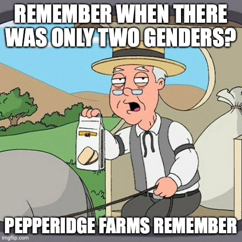 LGBTQ+IAAGHNHU#VGYDBUYDVY#UDG#TDUY#HYFUeuifbewvejwnfuwejbqwhwfbweugihuewkguekjngkfsdhg | REMEMBER WHEN THERE WAS ONLY TWO GENDERS? PEPPERIDGE FARMS REMEMBER | image tagged in memes,pepperidge farm remembers | made w/ Imgflip meme maker