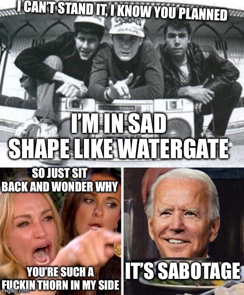 I CAN’T STAND IT, I KNOW YOU PLANNED SO JUST SIT BACK AND WONDER WHY YOU’RE SUCH A FUCKIN THORN IN MY SIDE IT’S SABOTAGE I’M IN SAD SHAPE LI | image tagged in beastie boys,woman yelling at cat - biden | made w/ Imgflip meme maker