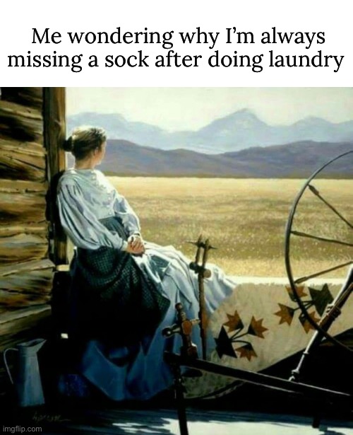 Where does it go? | Me wondering why I’m always missing a sock after doing laundry | image tagged in funny,meme,laundry,missing socks,painting | made w/ Imgflip meme maker