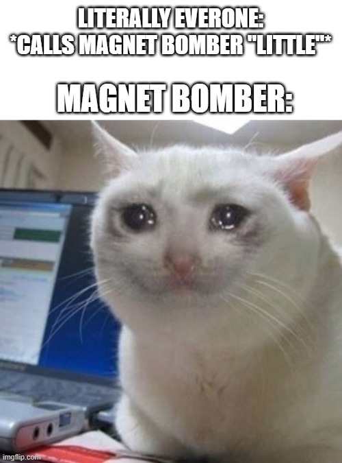 Stop teasing me D: | LITERALLY EVERONE: *CALLS MAGNET BOMBER "LITTLE"*; MAGNET BOMBER: | image tagged in crying cat,true | made w/ Imgflip meme maker