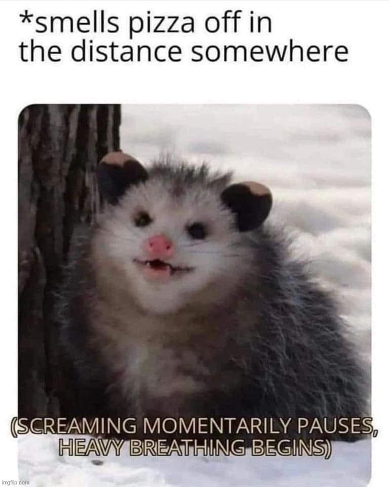 image tagged in repost | made w/ Imgflip meme maker