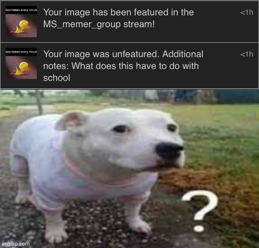 image tagged in dog question mark | made w/ Imgflip meme maker