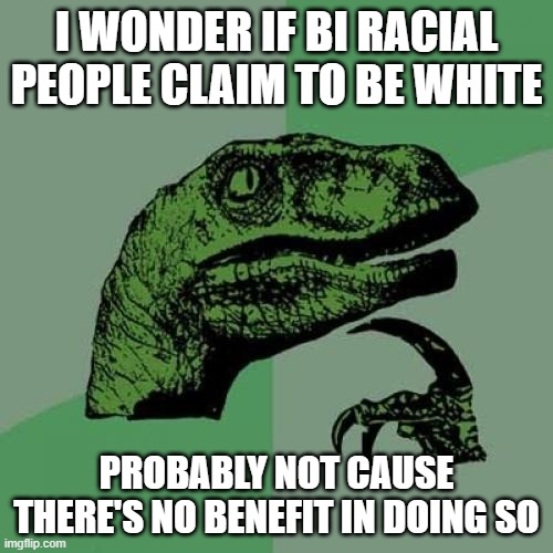 Philosoraptor Meme | I WONDER IF BI RACIAL PEOPLE CLAIM TO BE WHITE; PROBABLY NOT CAUSE THERE'S NO BENEFIT IN DOING SO | image tagged in memes,philosoraptor | made w/ Imgflip meme maker
