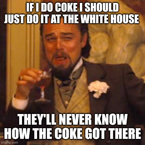 What does this say about the secret service? | IF I DO COKE I SHOULD JUST DO IT AT THE WHITE HOUSE; THEY'LL NEVER KNOW HOW THE COKE GOT THERE | image tagged in memes,laughing leo | made w/ Imgflip meme maker