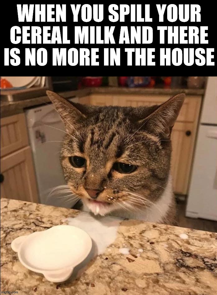 WHEN YOU SPILL YOUR CEREAL MILK AND THERE IS NO MORE IN THE HOUSE | made w/ Imgflip meme maker