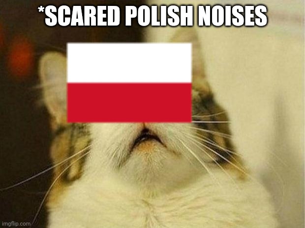 Scared Cat | *SCARED POLISH NOISES | image tagged in memes,scared cat | made w/ Imgflip meme maker