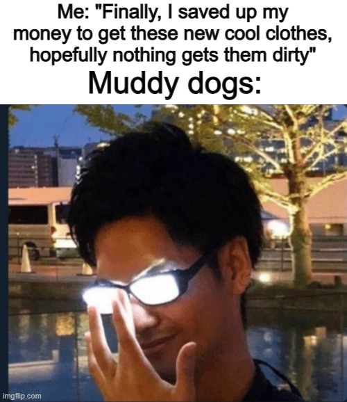 Uh oh... | Me: "Finally, I saved up my money to get these new cool clothes, hopefully nothing gets them dirty"; Muddy dogs: | image tagged in anime glasses | made w/ Imgflip meme maker