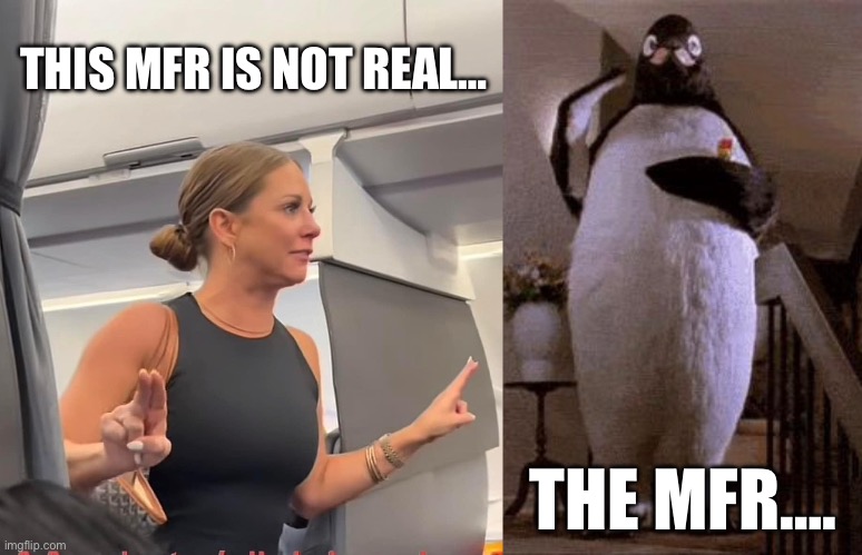 Crazy | THIS MFR IS NOT REAL…; THE MFR…. | image tagged in crazy lady | made w/ Imgflip meme maker