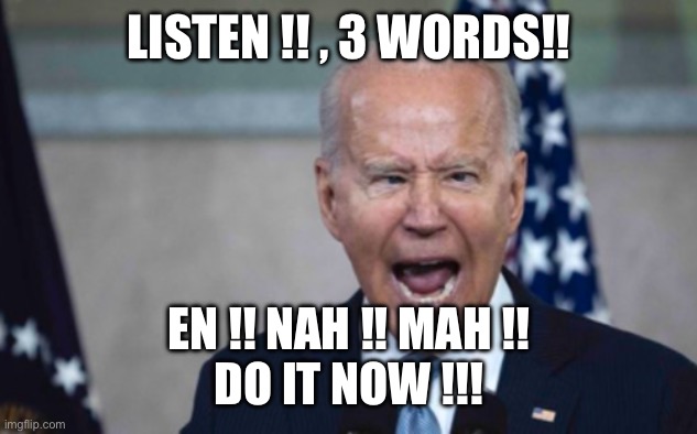 Biden Scream | LISTEN !! , 3 WORDS!! EN !! NAH !! MAH !!
DO IT NOW !!! | image tagged in biden scream | made w/ Imgflip meme maker