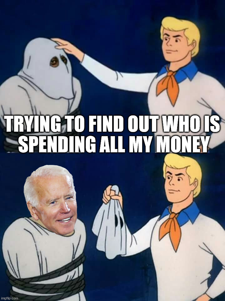 Stop all the spending and inflation | TRYING TO FIND OUT WHO IS 
SPENDING ALL MY MONEY | image tagged in scooby doo mask reveal,politics | made w/ Imgflip meme maker
