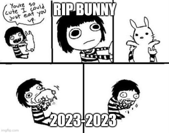 Rip | RIP BUNNY; 2023-2023 | image tagged in so cute could just eat you up | made w/ Imgflip meme maker