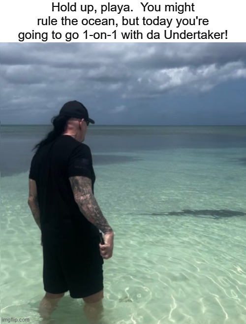 Undertaker Shark | Hold up, playa.  You might rule the ocean, but today you're going to go 1-on-1 with da Undertaker! | image tagged in undertaker shark | made w/ Imgflip meme maker