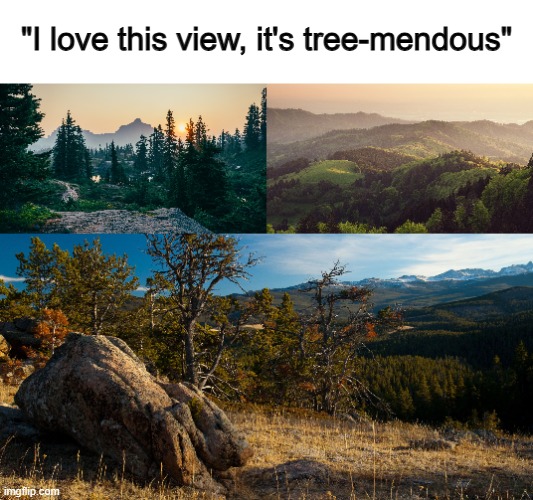 Gorgeous, isn't it? :] | "I love this view, it's tree-mendous" | made w/ Imgflip meme maker
