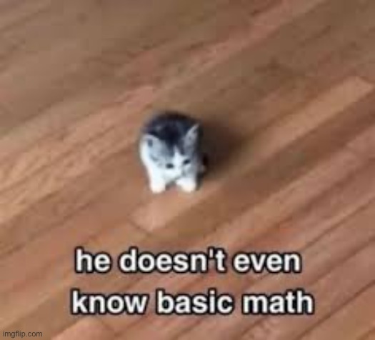 Teach him. | image tagged in cat,more cat,its all cats | made w/ Imgflip meme maker