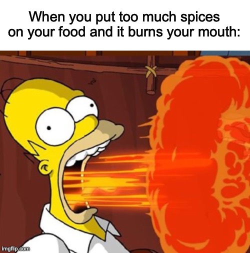It burns | When you put too much spices on your food and it burns your mouth: | image tagged in mouth on fire | made w/ Imgflip meme maker
