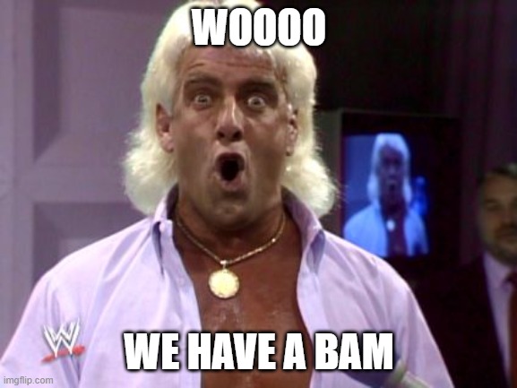 Ric Flair BAM | WOOOO; WE HAVE A BAM | image tagged in ric flair friday | made w/ Imgflip meme maker
