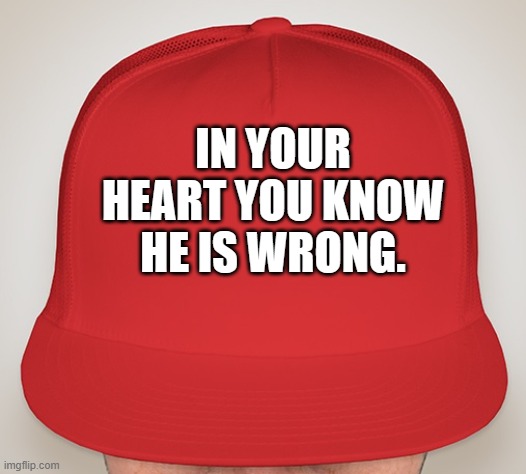 In your heart you know he is wrong. | IN YOUR HEART YOU KNOW HE IS WRONG. | image tagged in trump hat | made w/ Imgflip meme maker