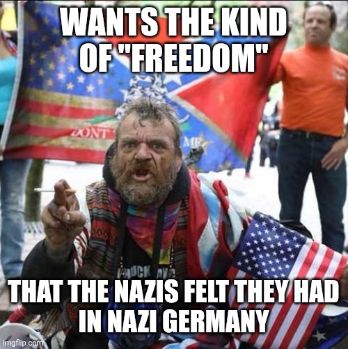 Freedom? You keep using that word. I do not think it means what you think it means. | WANTS THE KIND
OF "FREEDOM"; THAT THE NAZIS FELT THEY HAD
IN NAZI GERMANY | image tagged in conservative alt right tardo,freedom,you keep using that word,definition,nazis,conservative logic | made w/ Imgflip meme maker