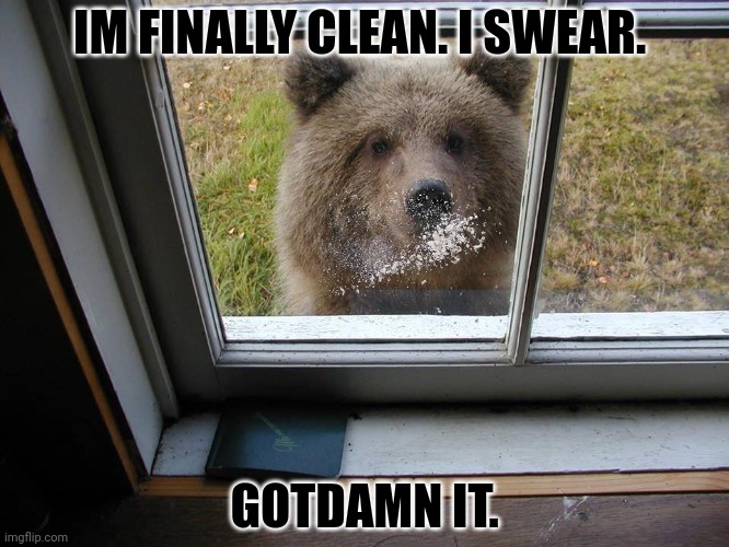 Don't open the door. | IM FINALLY CLEAN. I SWEAR. GOTDAMN IT. | image tagged in dont open,the door,cocaine,bear | made w/ Imgflip meme maker