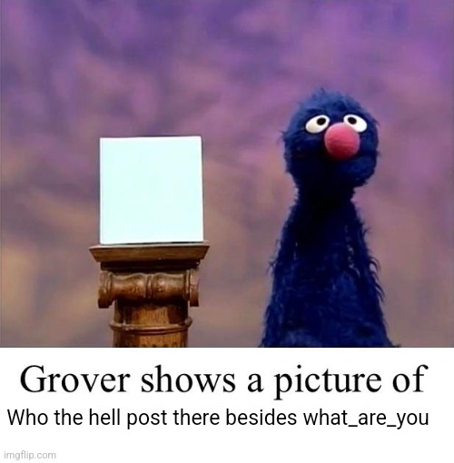 Grover: Who Asked | Who the hell post there besides what_are_you | image tagged in grover who asked | made w/ Imgflip meme maker
