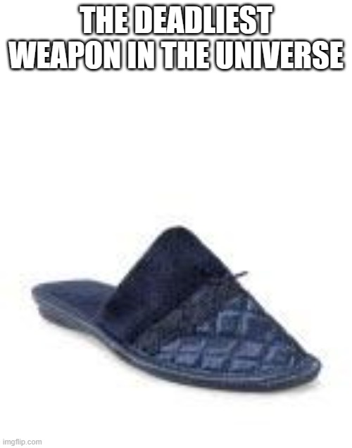 the deadliest weapon in the universe | THE DEADLIEST WEAPON IN THE UNIVERSE | image tagged in slipper,weapons,deadly,fun,danger,caution | made w/ Imgflip meme maker