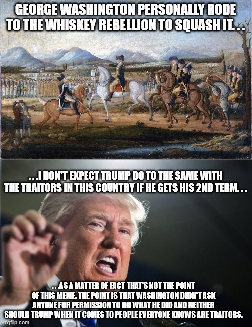 Probably pushing it with this one but am getting into 'don't care' territory. | GEORGE WASHINGTON PERSONALLY RODE TO THE WHISKEY REBELLION TO SQUASH IT. . . . . .I DON'T EXPECT TRUMP DO TO THE SAME WITH THE TRAITORS IN THIS COUNTRY IF HE GETS HIS 2ND TERM. . . . . .AS A MATTER OF FACT THAT'S NOT THE POINT OF THIS MEME. THE POINT IS THAT WASHINGTON DIDN'T ASK ANYONE FOR PERMISSION TO DO WHAT HE DID AND NEITHER SHOULD TRUMP WHEN IT COMES TO PEOPLE EVERYONE KNOWS ARE TRAITORS. | image tagged in george washington whiskey rebellion,donald trump,traitors | made w/ Imgflip meme maker