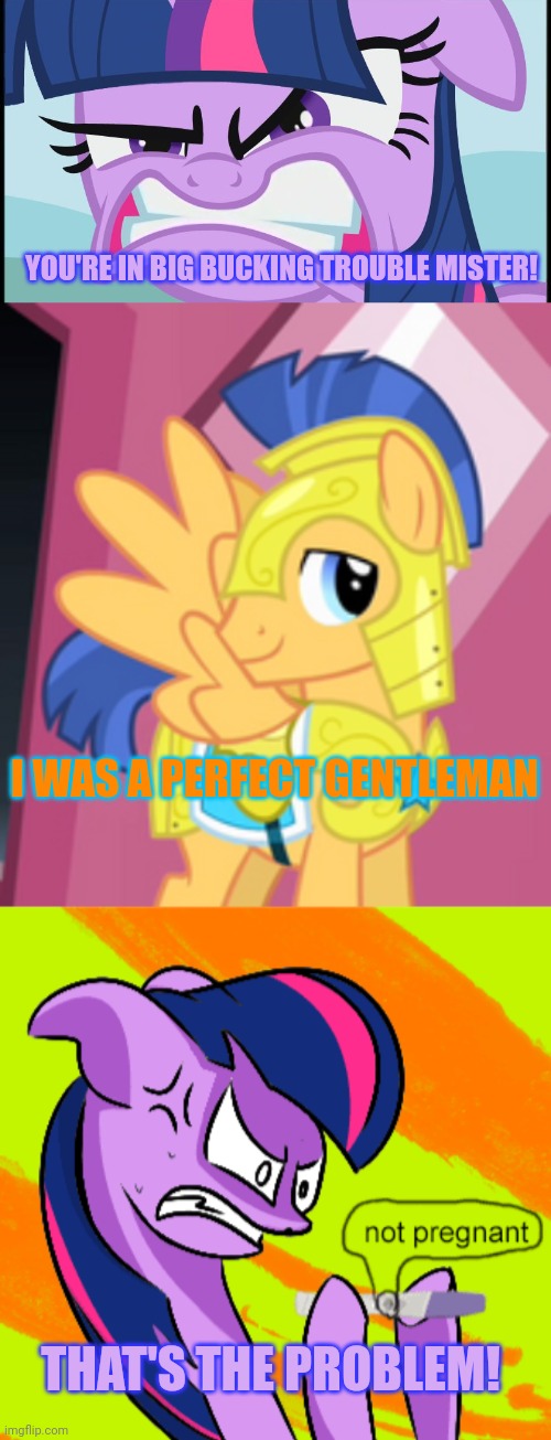 Twilight problems | YOU'RE IN BIG BUCKING TROUBLE MISTER! I WAS A PERFECT GENTLEMAN THAT'S THE PROBLEM! | image tagged in angry twilight sparkle,flash sentry,twilight sparkle,pregnancy test | made w/ Imgflip meme maker