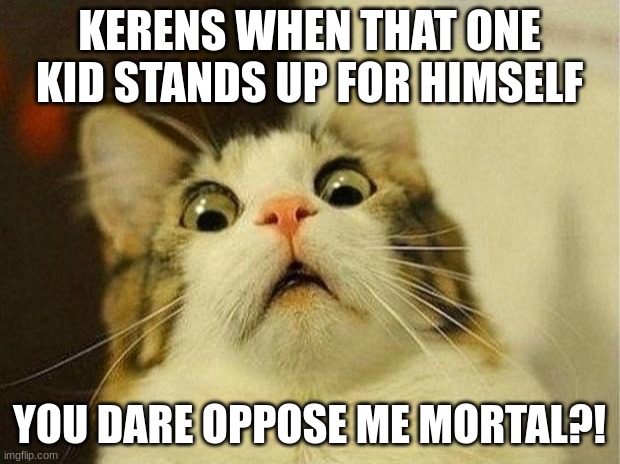 Scared Cat Meme | KERENS WHEN THAT ONE KID STANDS UP FOR HIMSELF; YOU DARE OPPOSE ME MORTAL?! | image tagged in memes,scared cat | made w/ Imgflip meme maker