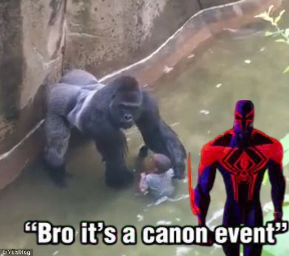 is a canon event | image tagged in harambe,funny,memes | made w/ Imgflip meme maker