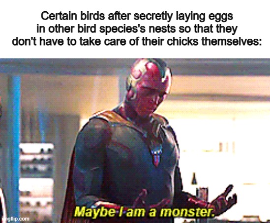 It's so sad T-T | Certain birds after secretly laying eggs in other bird species's nests so that they don't have to take care of their chicks themselves: | image tagged in maybe i am a monster | made w/ Imgflip meme maker