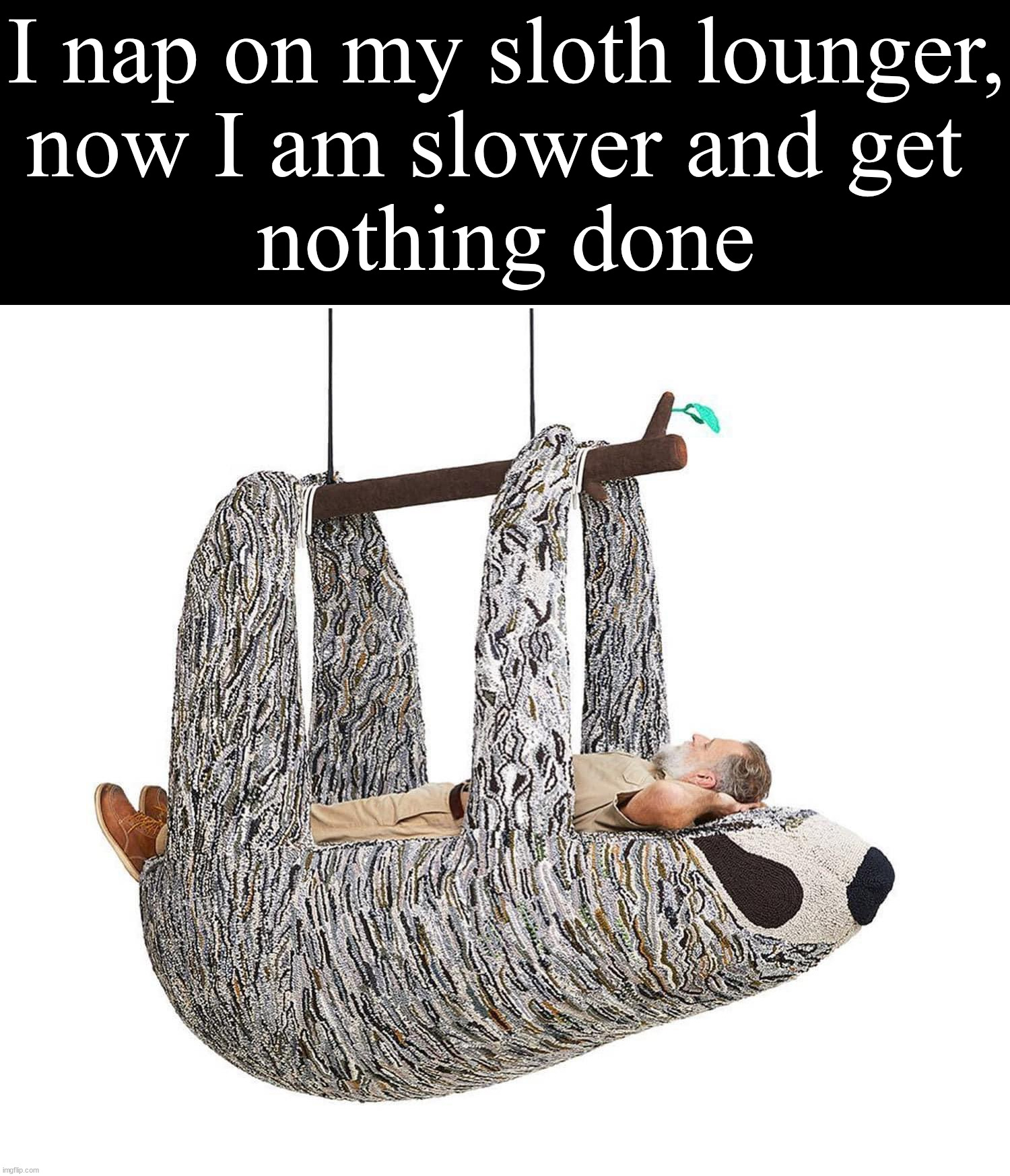 I don't need it but want it | I nap on my sloth lounger,
now I am slower and get 
nothing done | image tagged in sloth,sleep,lounging,want that,cool products | made w/ Imgflip meme maker