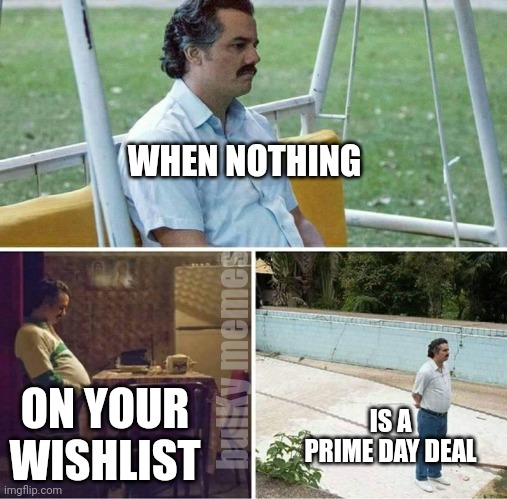 No deal on prime day | WHEN NOTHING; bulKy memes; ON YOUR WISHLIST; IS A PRIME DAY DEAL | image tagged in forever alone,prime,amazon | made w/ Imgflip meme maker