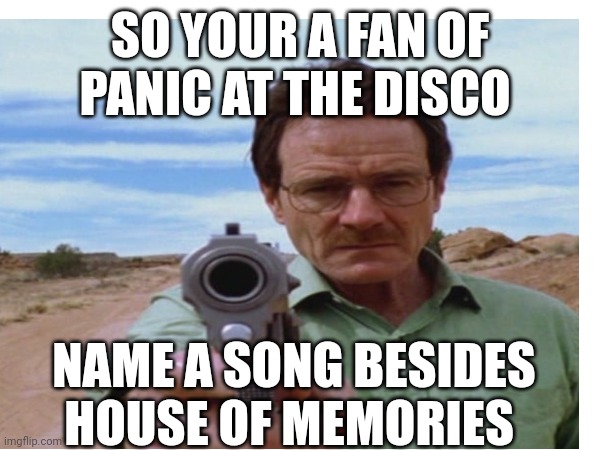 SO YOUR A FAN OF PANIC AT THE DISCO; NAME A SONG BESIDES HOUSE OF MEMORIES | image tagged in blank white template | made w/ Imgflip meme maker