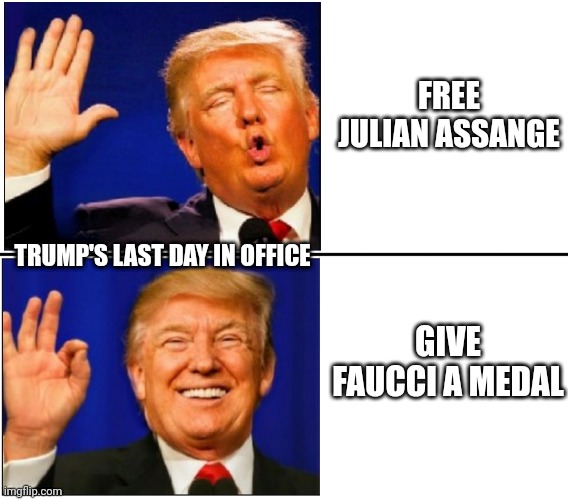 Trump chose | FREE JULIAN ASSANGE; TRUMP'S LAST DAY IN OFFICE; GIVE FAUCCI A MEDAL | image tagged in trump no yes | made w/ Imgflip meme maker