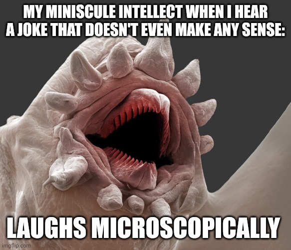 My brainpower is tiny | MY MINISCULE INTELLECT WHEN I HEAR A JOKE THAT DOESN'T EVEN MAKE ANY SENSE:; LAUGHS MICROSCOPICALLY | image tagged in laughs microscopically | made w/ Imgflip meme maker