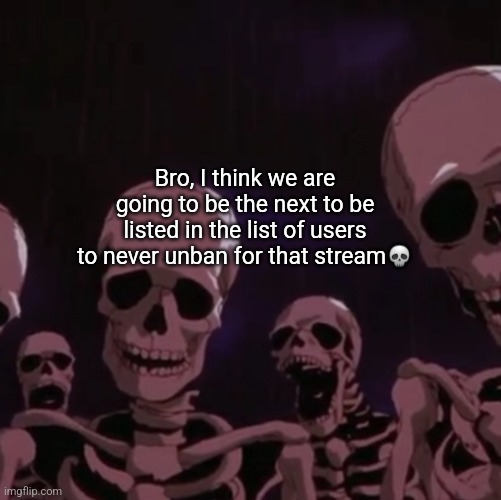 roasting skeletons | Bro, I think we are going to be the next to be listed in the list of users to never unban for that stream💀 | image tagged in roasting skeletons | made w/ Imgflip meme maker