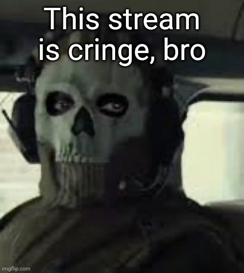 CoD MW2022 Ghost | This stream is cringe, bro | image tagged in cod mw2022 ghost | made w/ Imgflip meme maker