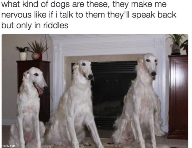 image tagged in memes,funny | made w/ Imgflip meme maker