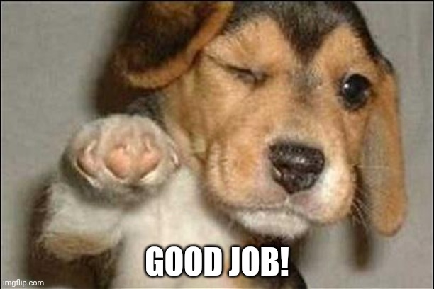 good job dog | GOOD JOB! | image tagged in good job dog | made w/ Imgflip meme maker