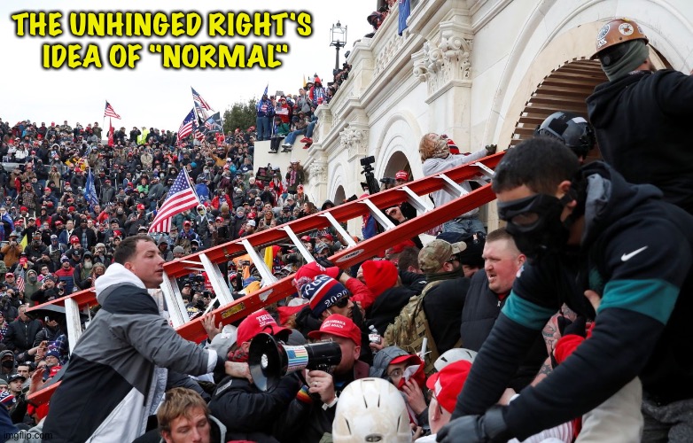 Qanon - Insurrection - Trump riot - sedition | THE UNHINGED RIGHT'S 
IDEA OF "NORMAL" | image tagged in qanon - insurrection - trump riot - sedition | made w/ Imgflip meme maker