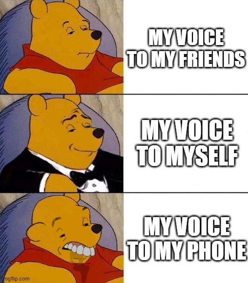 i saw something similar and i got inspired don't tell me i copied it | MY VOICE TO MY FRIENDS; MY VOICE TO MYSELF; MY VOICE TO MY PHONE | image tagged in best better blurst,memes,funny,gifs,not really a gif,relatable | made w/ Imgflip meme maker