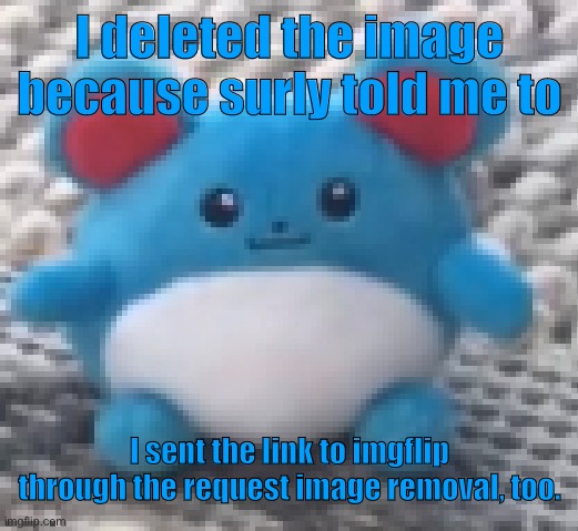 Marill 6 | I deleted the image because surly told me to; I sent the link to imgflip through the request image removal, too. | image tagged in marill 6 | made w/ Imgflip meme maker