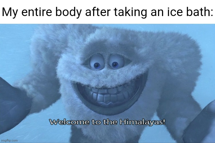 Ice bath | My entire body after taking an ice bath: | image tagged in welcome to the himalayas,ice,bath,memes,body,meme | made w/ Imgflip meme maker