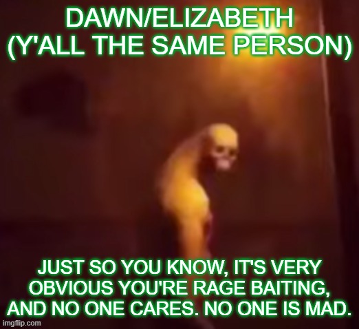 Your IP Address Is On The Internet | DAWN/ELIZABETH (Y'ALL THE SAME PERSON); JUST SO YOU KNOW, IT'S VERY OBVIOUS YOU'RE RAGE BAITING, AND NO ONE CARES. NO ONE IS MAD. | image tagged in your ip address is on the internet | made w/ Imgflip meme maker