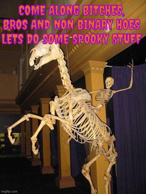 spooky horse and rider skeleton | COME ALONG BITCHES, BROS AND NON BINARY HOES
LETS DO SOME SPOOKY STUFF | image tagged in spooky horse and rider skeleton | made w/ Imgflip meme maker