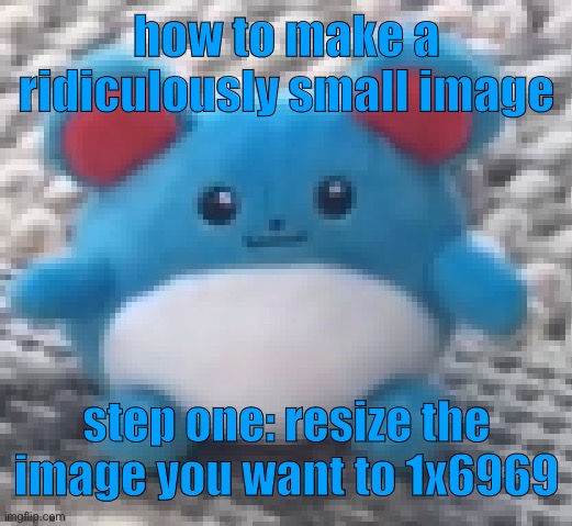 Marill 6 | how to make a ridiculously small image; step one: resize the image you want to 1x6969 | image tagged in marill 6 | made w/ Imgflip meme maker