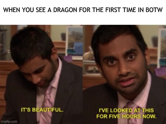 I took at least 5 photos/selfies | WHEN YOU SEE A DRAGON FOR THE FIRST TIME IN BOTW | image tagged in i've looked at this for 5 hours now,dragons,the legend of zelda breath of the wild | made w/ Imgflip meme maker