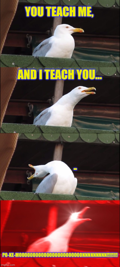 Inhaling Seagull Meme | YOU TEACH ME, AND I TEACH YOU... - PO-KE-MOOOOOOOOOOOOOOOOOOOOOOONNNNNNNNN!!!!!!!! | image tagged in memes,inhaling seagull | made w/ Imgflip meme maker